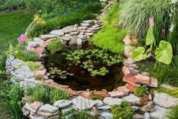 ponds and waterfalls